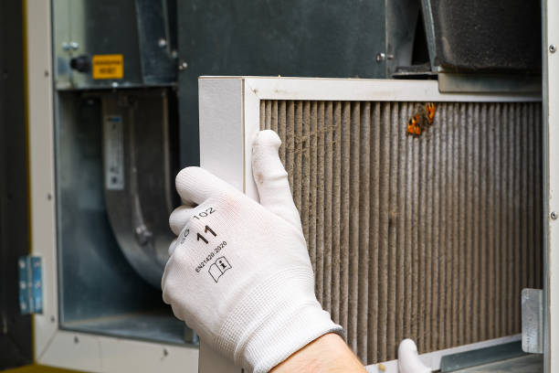 Best Duct Cleaning for Homes  in Dimmitt, TX